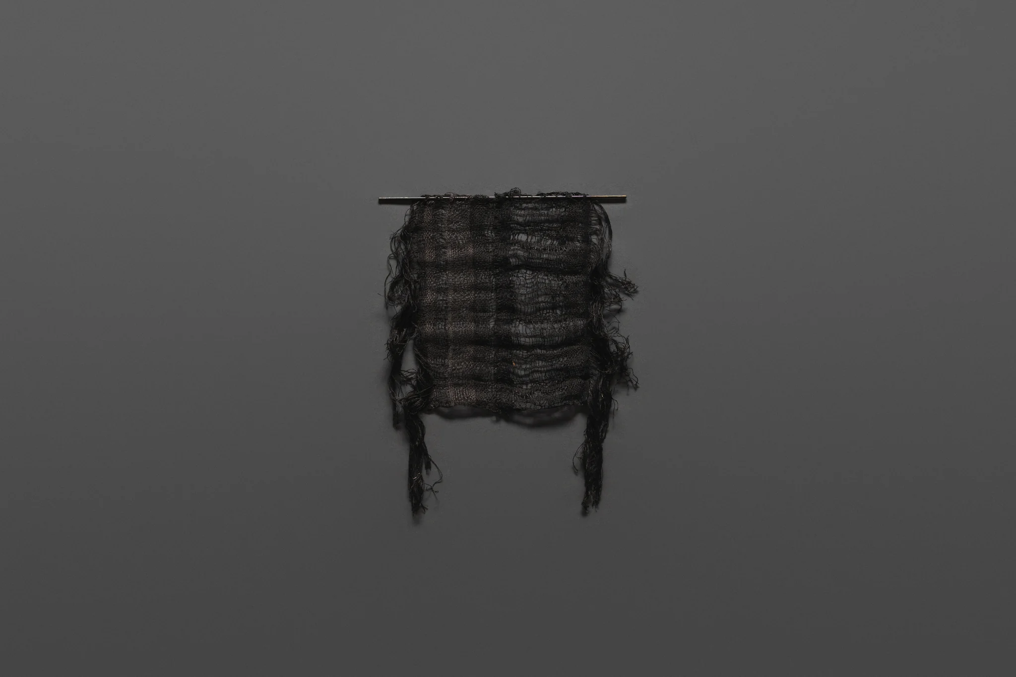 Echo