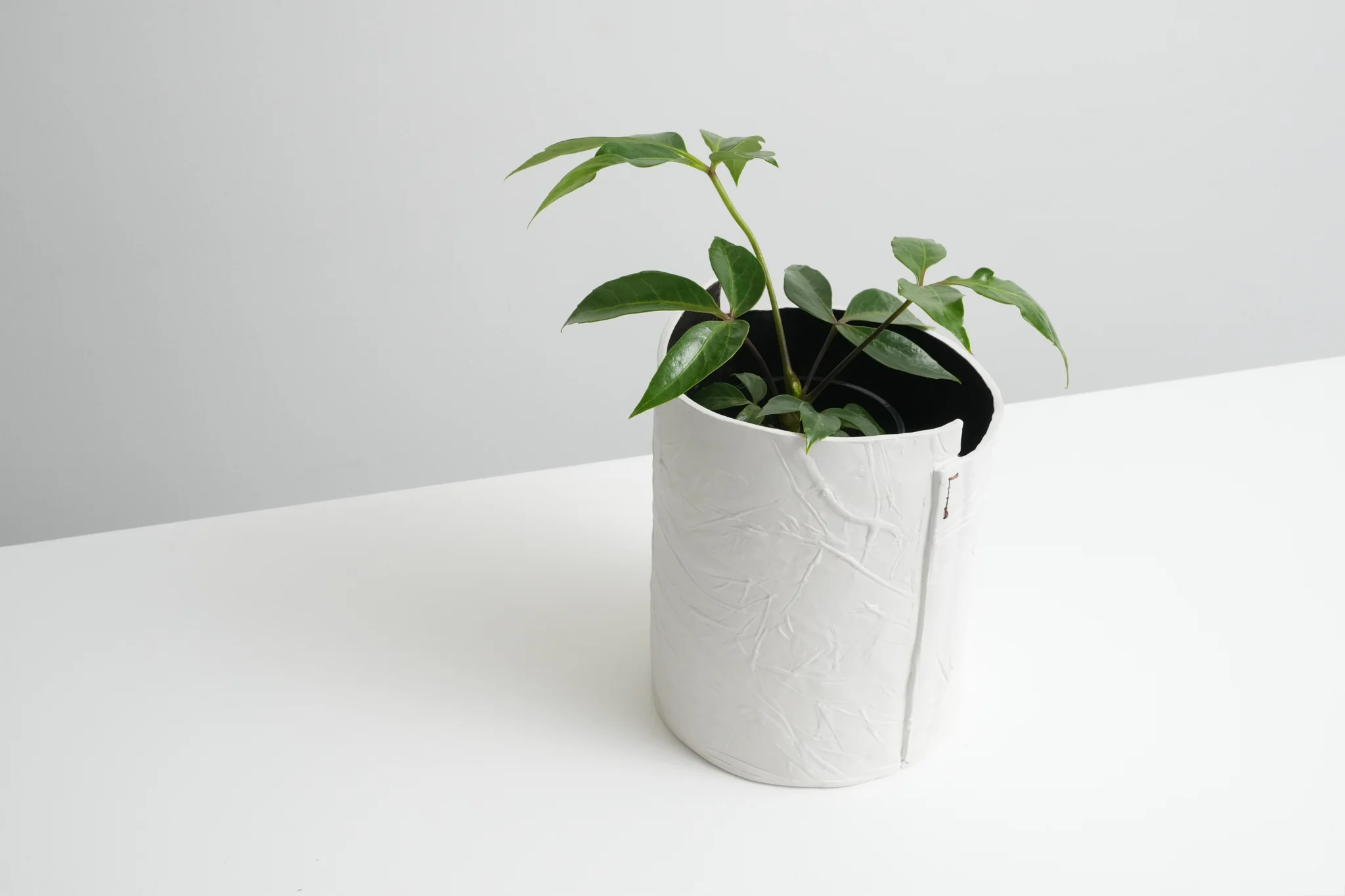 Florette Pots - Image 7