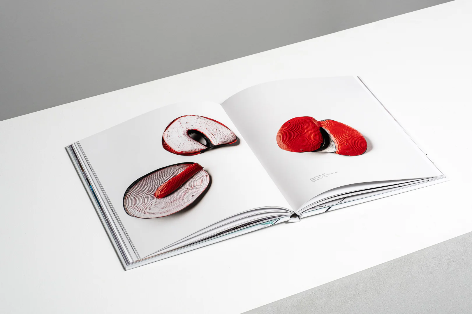 Julie Blyfield: Chasing a Passion - Image 3