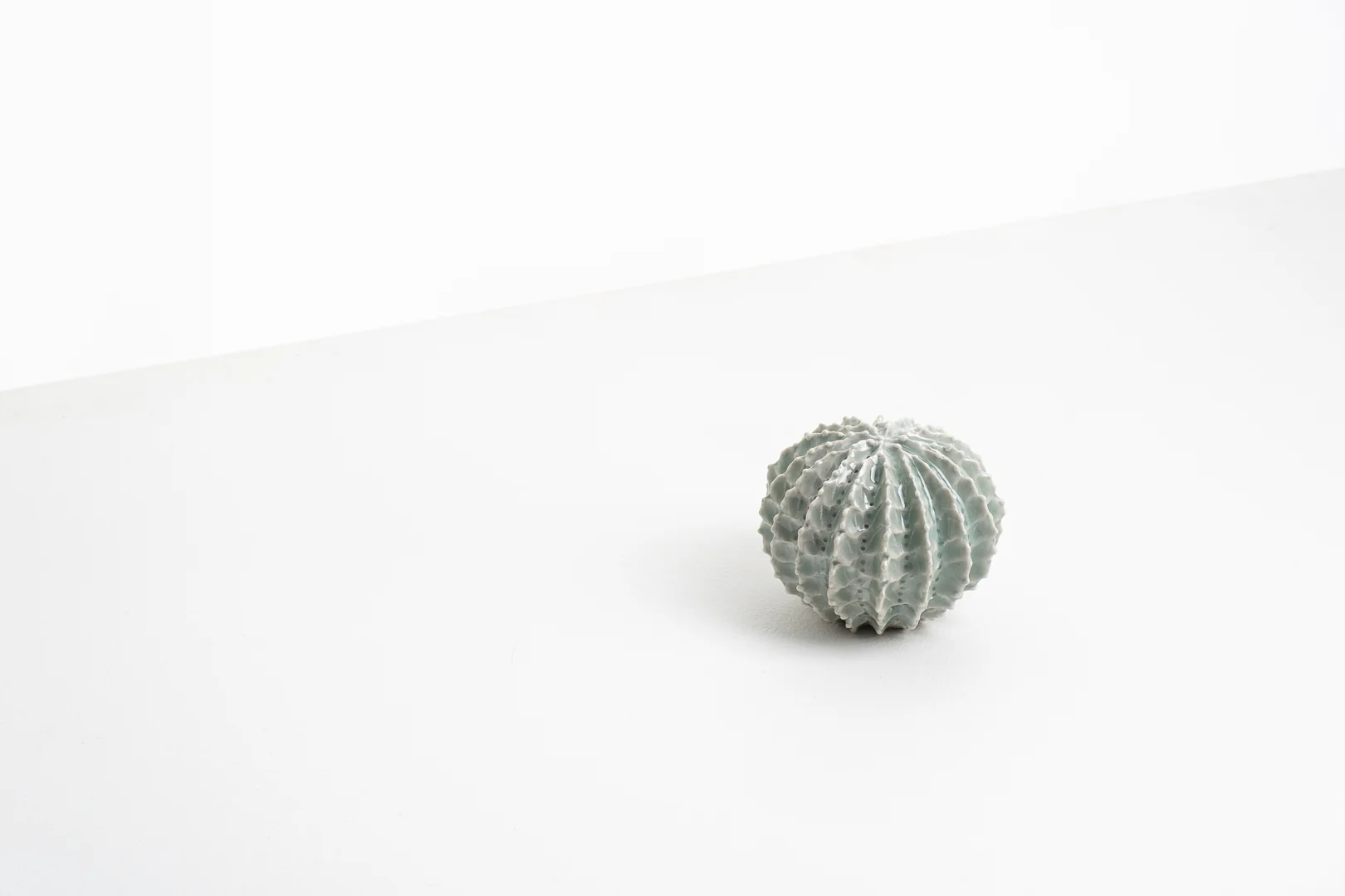 Sea Forms - Image 5
